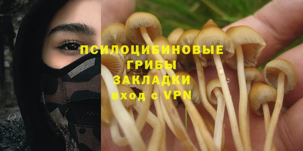 Альфа ПВП Верея