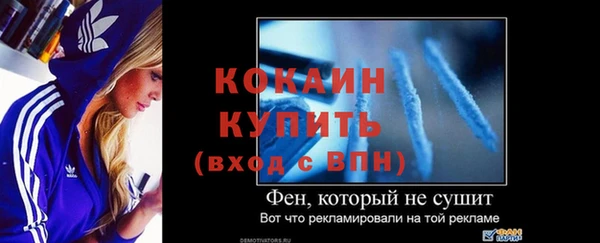 индика Бородино
