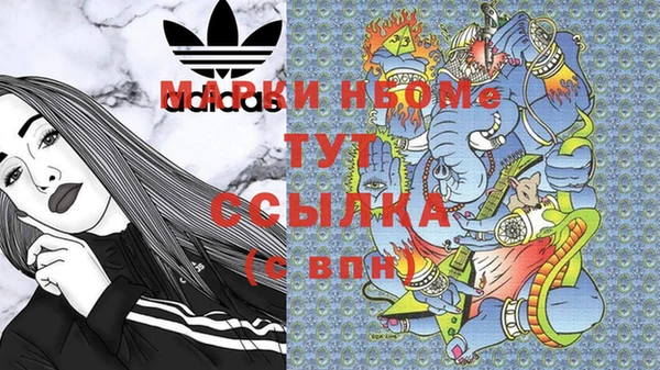 индика Бородино