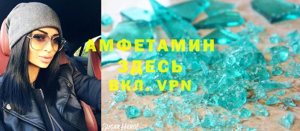 индика Бородино