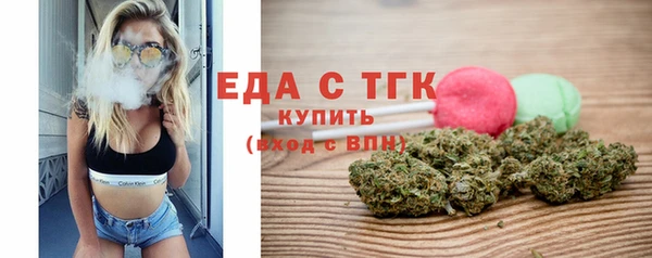 индика Бородино