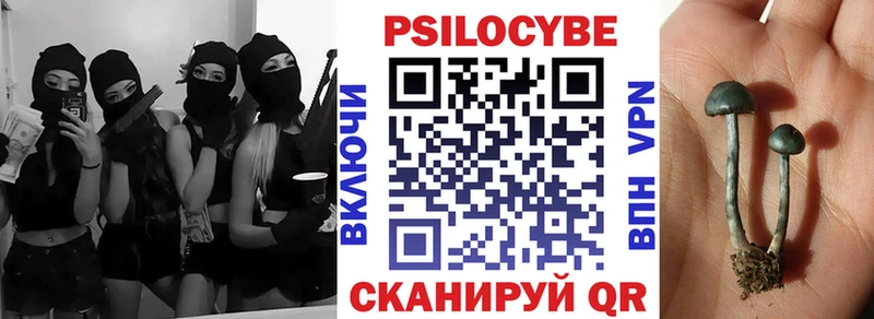 Купить Торопец Галлюциногенные грибы GOLDEN TEACHER